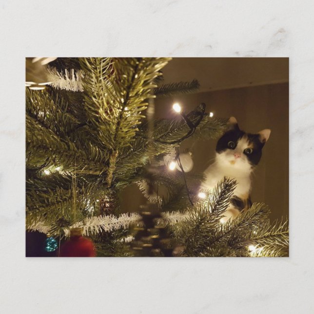 Zelma with the christmas tree helg vykort (Framsida)