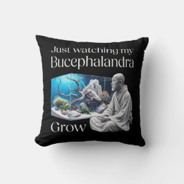 Zen and Bucephalandra – The Art of Aquascaping Kudde