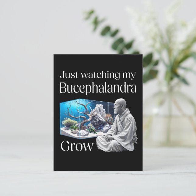 Zen and Bucephalandra – The Art of Aquascaping Vykort (Stående Fram)