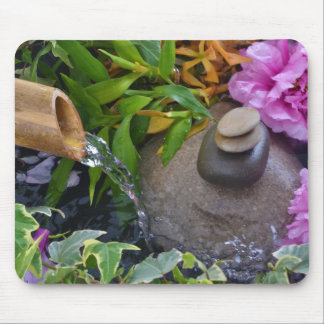 Zen attitude musmatta