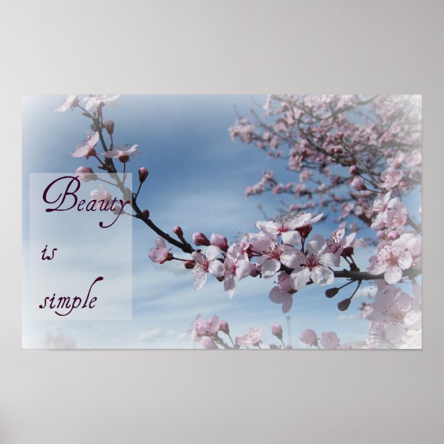 Zen-Beauty är Simple Cherry Blommar Poster (Framsidan)