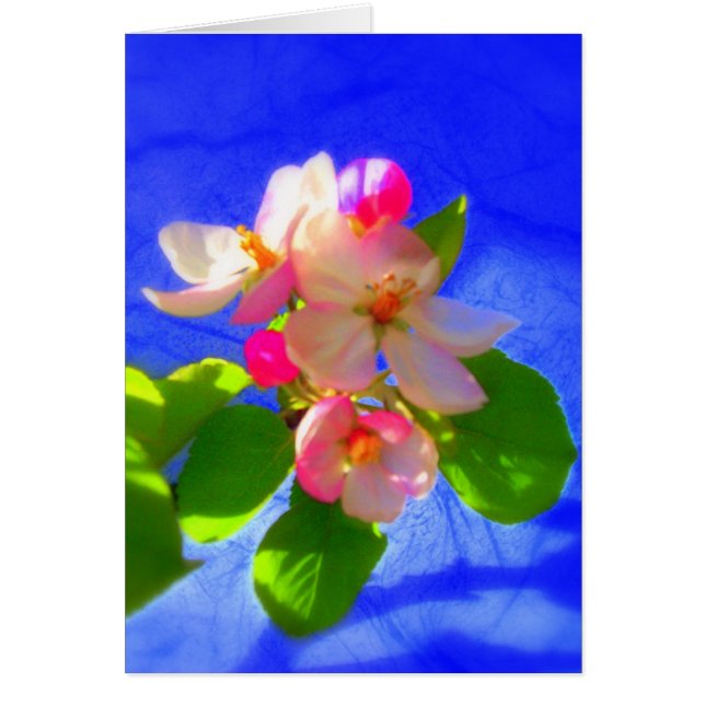 Zen Blommars Card Hälsningskort (Framsidan)