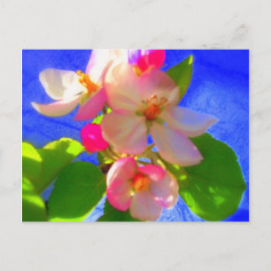Zen Blommars vykort