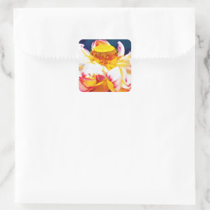Zen Blooming Rosa Lotus Flower Watercolor Fyrkantigt Klistermärke