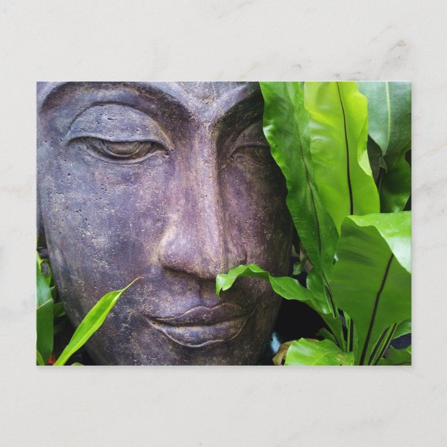 Zen Buddha Avslappnad Postkort Vykort (Framsida)