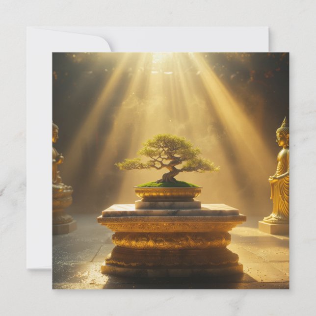 ZEN - BUDDHISM - MEDITATION (Framsida)