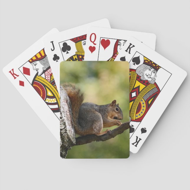 Zen Casinokort (Baksidan)