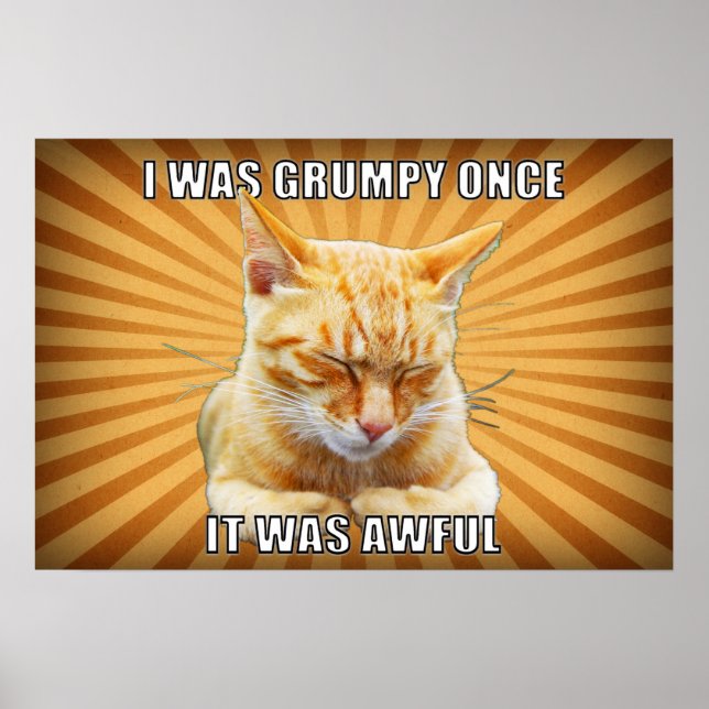 Zen Cat Poster (Framsidan)