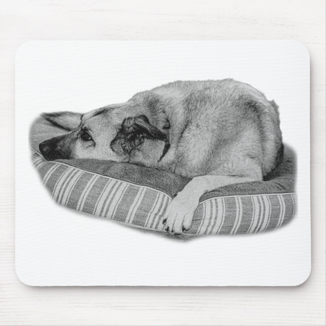 Zen Desk, Lounge Hund Pad Musmatta (Framsidan)