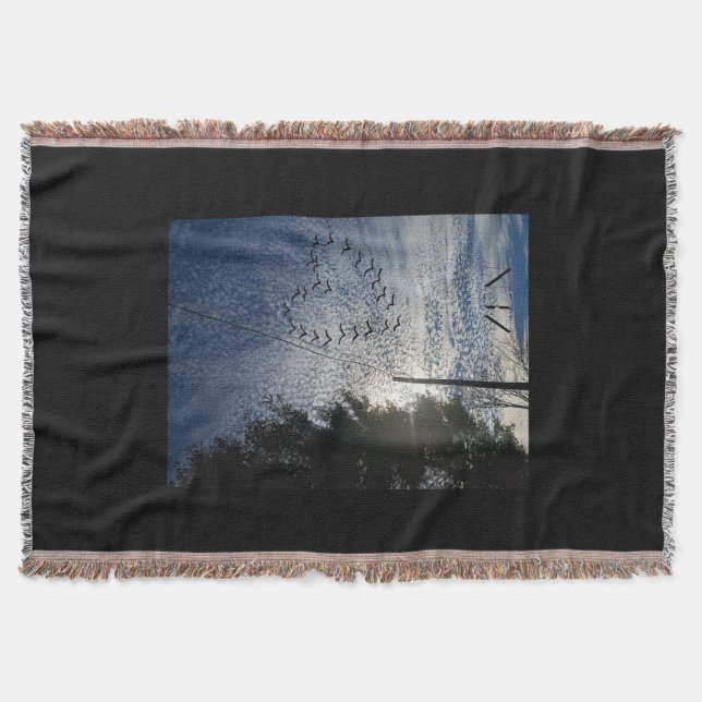 ZEN FILT (Framsidan)