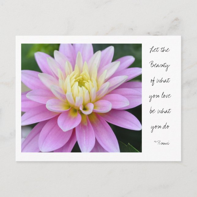 Zen Flower-Dahlia Postcard Rumi Quote Vykort (Framsida)