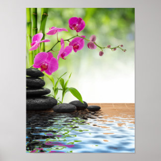 zen,fred,rosa orkidé,vacker,spa,läkning,yoga,c poster