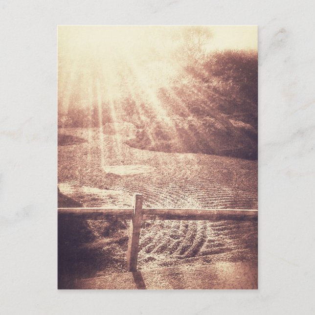 Zen Garden Vykort (Framsida)