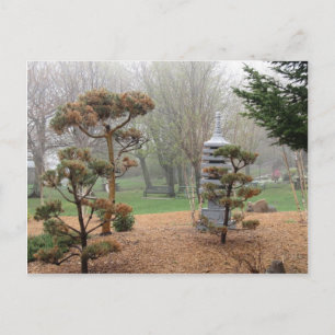 Zen Garden Vykort
