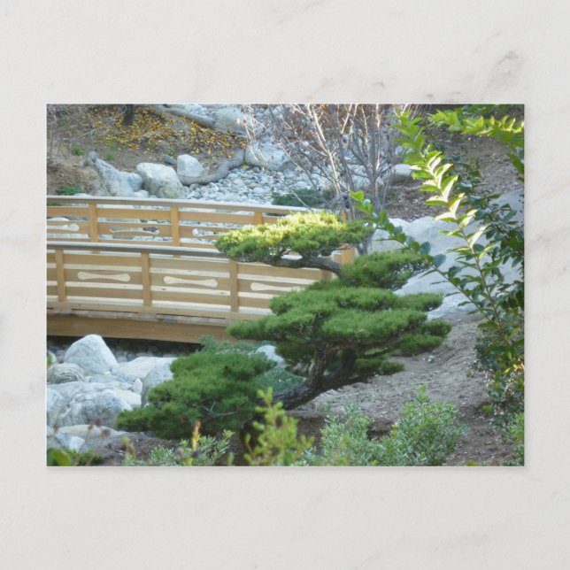 Zen Garden Vykort (Framsida)