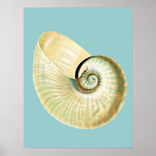 Zen Inspired Beach Theme Poster