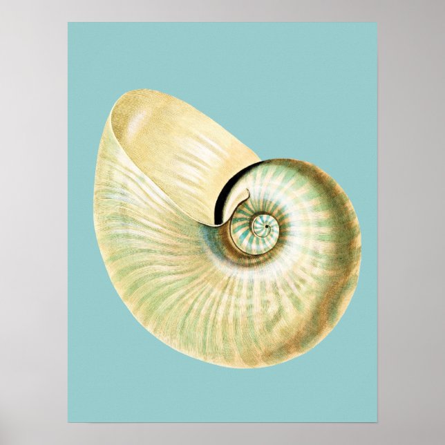 Zen Inspired Beach Theme Poster (Framsidan)