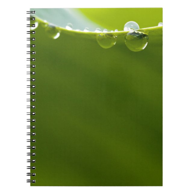 Zen Kärlek Grönt Lotus Löv Vatten Drop Anteckningsbok Med Spiral (Framsidan)