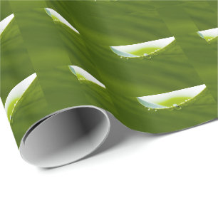 Zen Kärlek Grönt Lotus Löv Vatten Drop Presentpapper