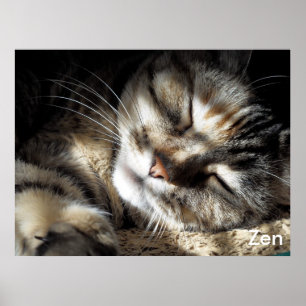 Zen Kattunge Poster