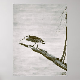 Zen-klassiker - Sesshu - Hägring och pilträd Poster