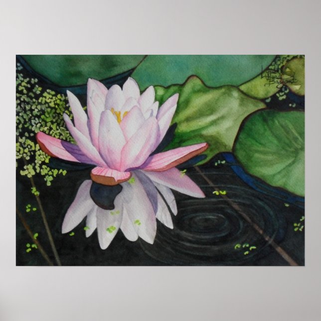 Zen Lilly Poster (Framsidan)