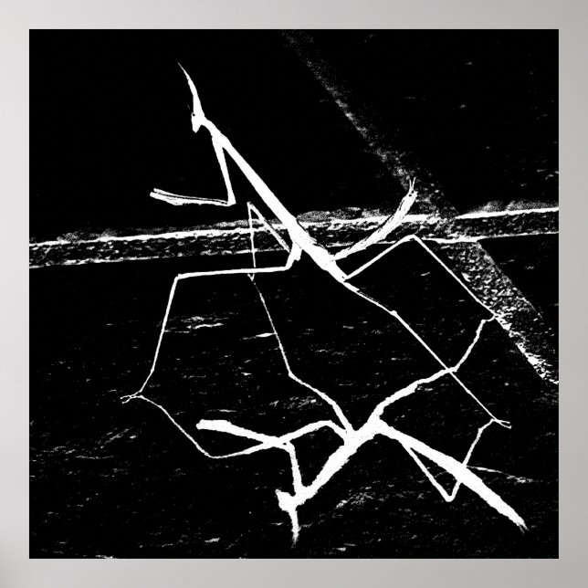 Zen Mantis Poster (Framsidan)