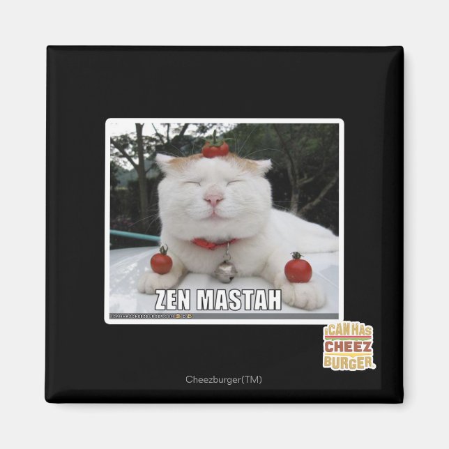 Zen Mastah Magnet (Framsidan)
