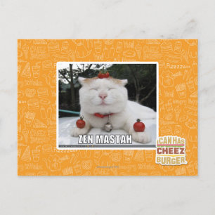 Zen Mastah Vykort