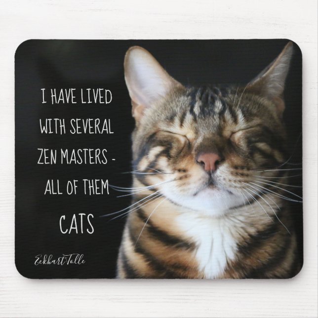 Zen Master/Funny Quote/Cat Photo Musmatta (Framsidan)