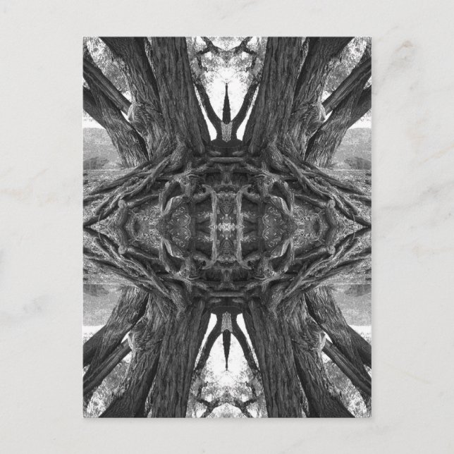 Zen Master-vykort Vykort (Framsida)