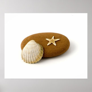 Zen Nature Sea Snäcka Star fish Pebble Poster