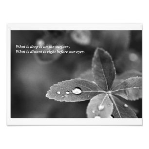 Zen- och TaoistMindfulnessmeditationen Fototryck