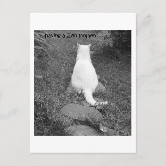 Zen-ögonblick Vykort (Framsida)