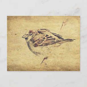 Zen Oriental art pencil sketch vild bird Vykort