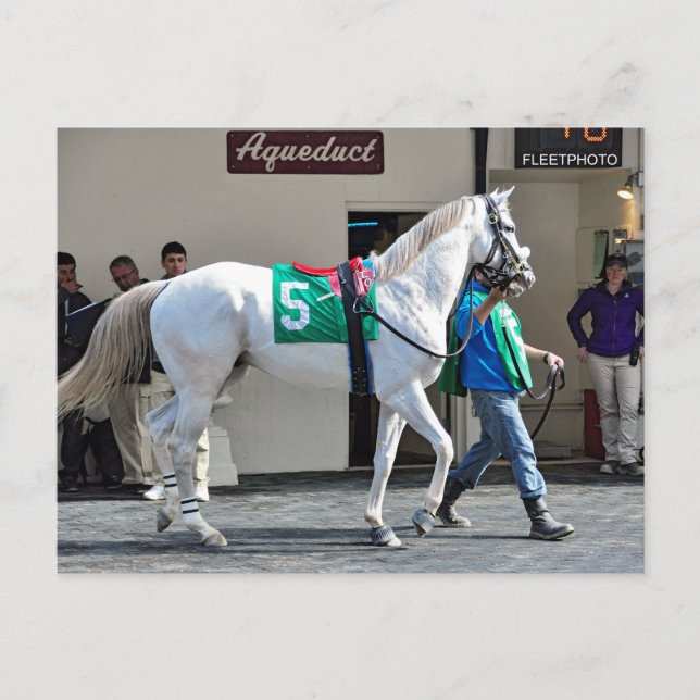 Zen Pappa Vykort (Framsida)