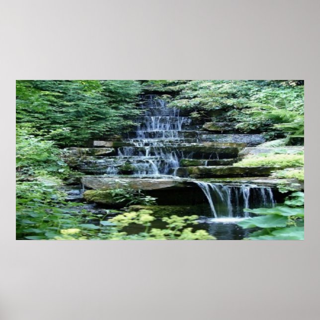 Zen Poster (Framsidan)