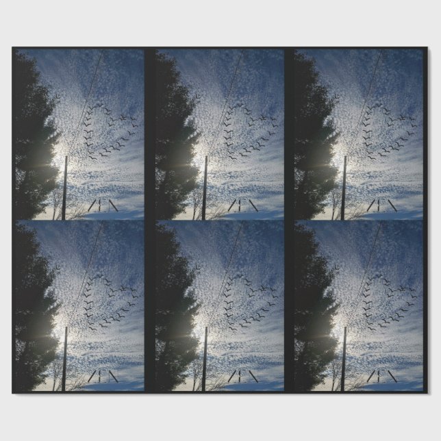 ZEN PRESENTPAPPER (Platt)