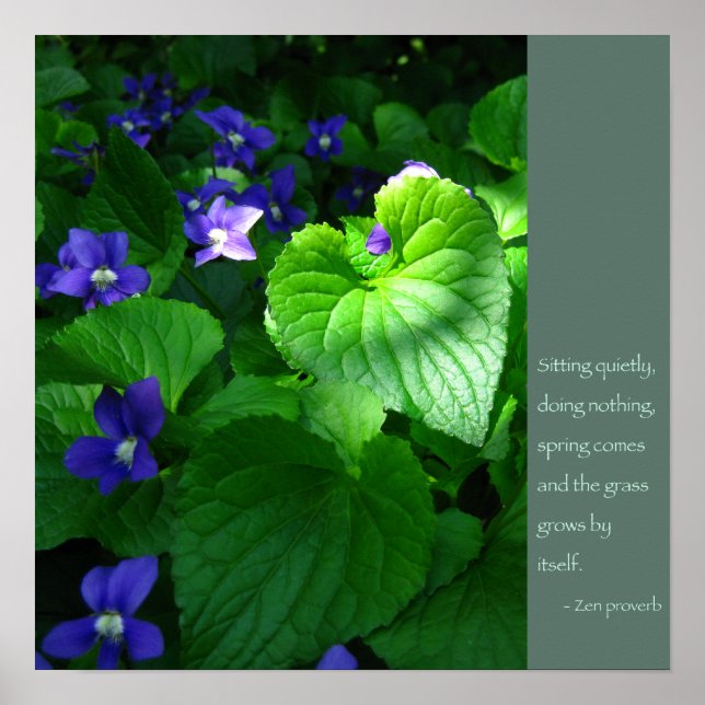 Zen Proverb-citattecken Poster (Framsidan)