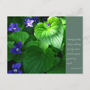 Zen Proverb-citattecken Poster Vykort