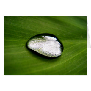 Zen Rain-droppkort Hälsningskort