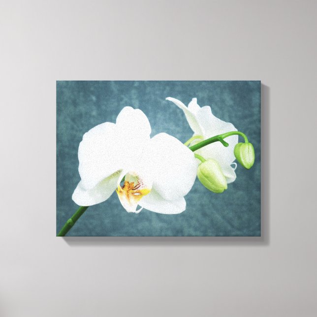 Zen White Orchid Canvastryck (Framsida)