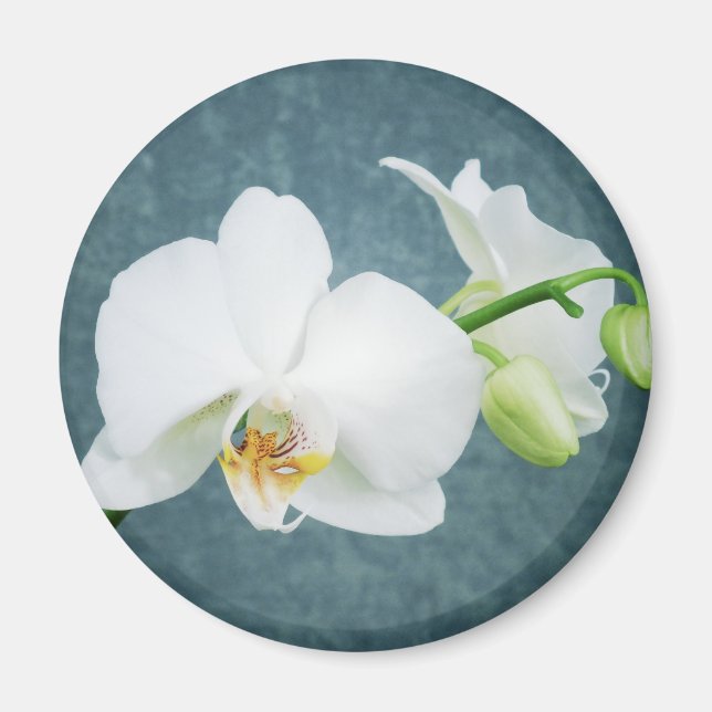 Zen White Orchid Flower Magnet (Framsidan)