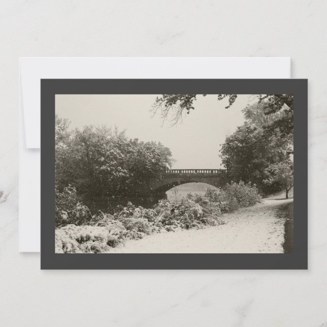 Zen Winter Snowfall II Inbjudningar (Framsida)