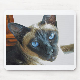 ZenaLrg_7_20_05_edited-1 Musmatta