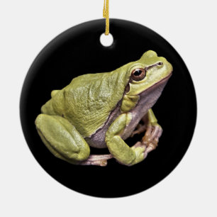 Zengrodablek - grön Treefrog svartprydnad Julgransprydnad Keramik