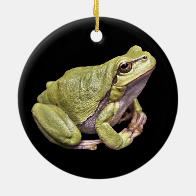 Zengrodablek - grön Treefrog svartprydnad Julgransprydnad Keramik (Baksidan)