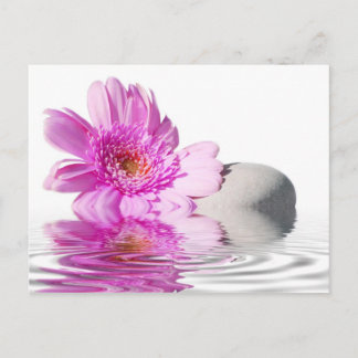 Zénitud-postkort Vykort