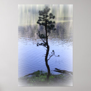 Zenreflexionsvatten och trädaffisch poster