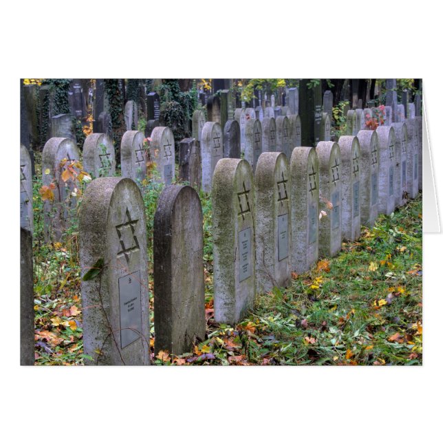 Zentralfriedhof Hälsningskort (Framsidan Horizontal)